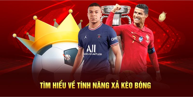 Quy tắc chơi dễ dàng và dễ nắm bắt