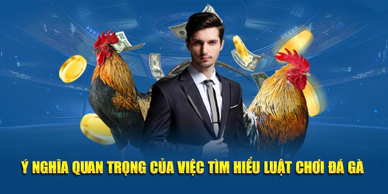 Ý nghĩa quan trọng của việc tìm hiểu luật chơi đá gà 